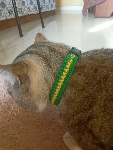 Coleira de crochê para pet do Brasil 