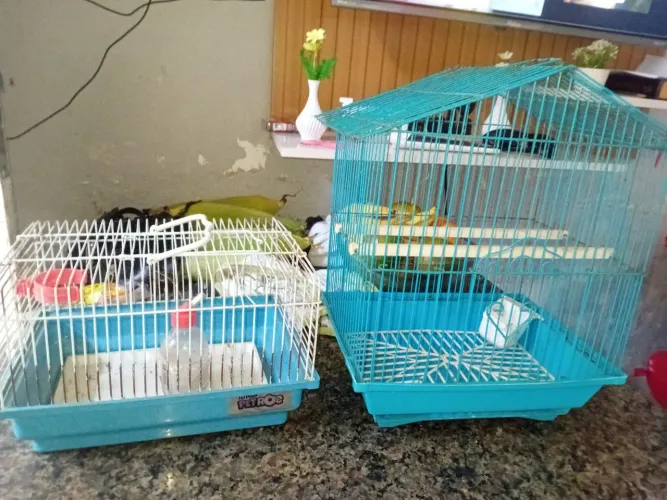 Gaiolas