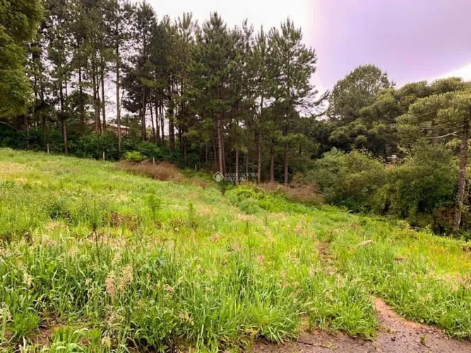 Terreno no bairro São Francisco