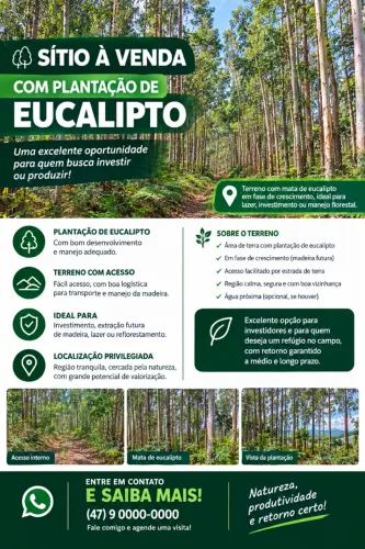 ? SÍTIO À VENDA COM PLANTAÇÃO DE EUCALIPTO | ÓTIMA OPORTUNIDADE