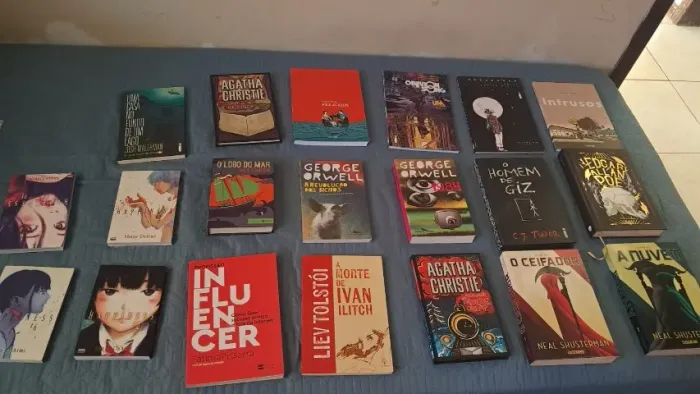 Lote de Livros - 20 volumes