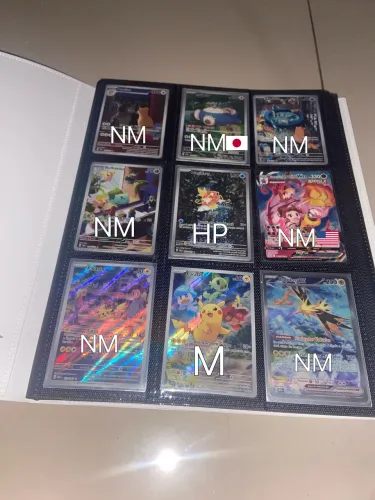 Pasta com cartas Pokémon (LEIA A DESCRIÇÃO)