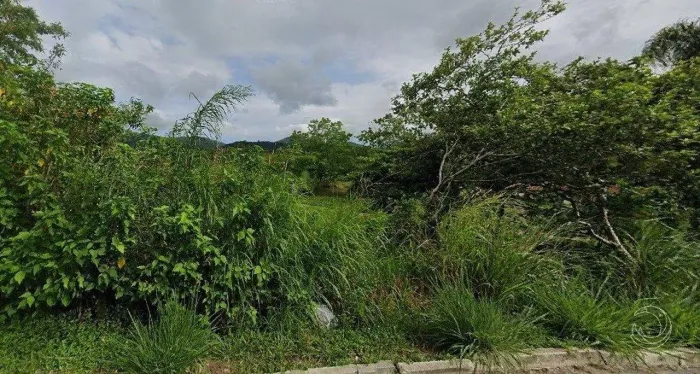 Terreno para Venda em Florianópolis, Canasvieiras
