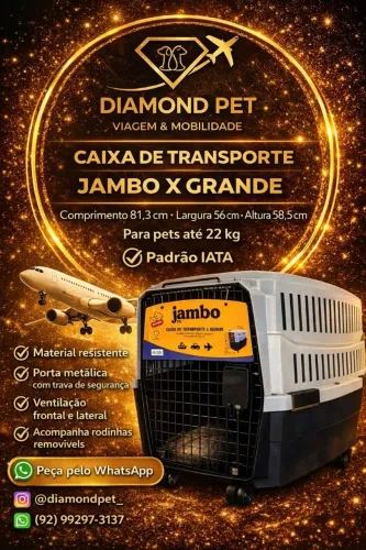 Caixa de transporte N°05