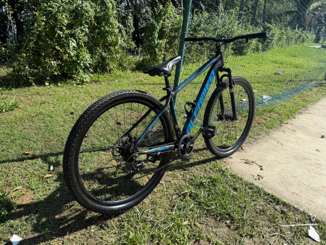 Aro 29 alfameq