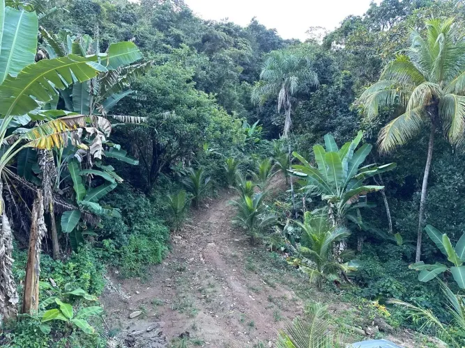 Lotes De 10X30 Na Serra De Pacoti, Refugio Dos Rios As Margens Da Ce 065! Cód. 185L8SI