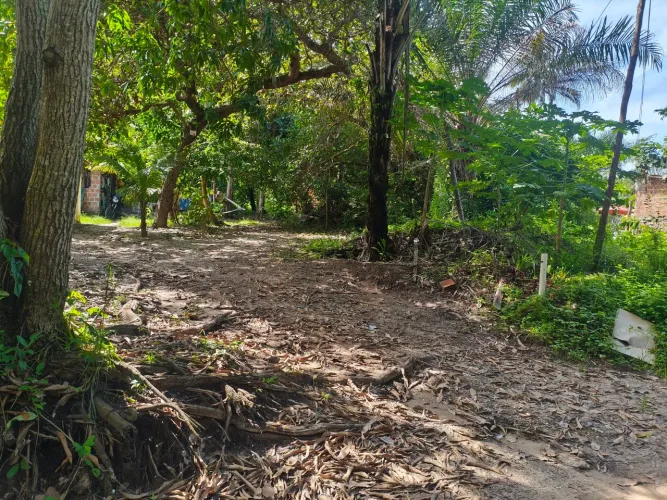 Terreno 20 metros da praia de Suape/Gaibu(terreno 50 metros da beira mar)