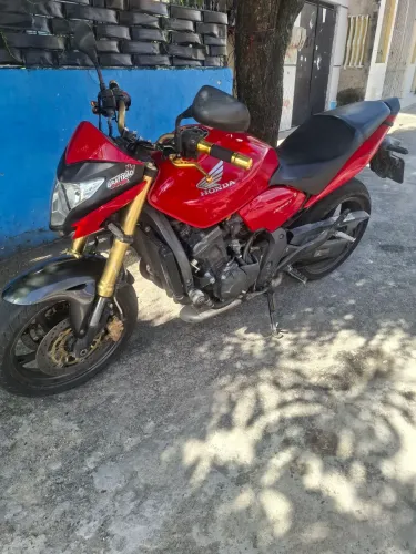 Hornet 2013/2014
