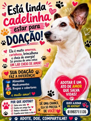 Adoção