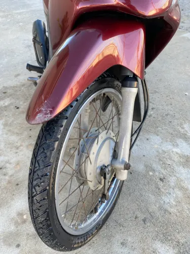 Vendo biz 2008/2009