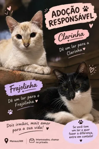 Doação responsável