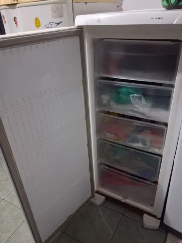 Freezer vertical