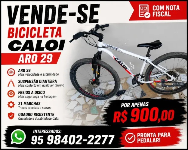 Bicicleta aro 29