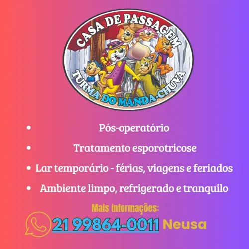 Lar temporário  para gatos 