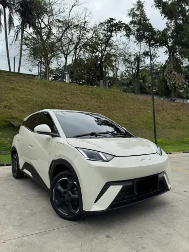 BYD Dolphin Mini (Elétrico) 2024