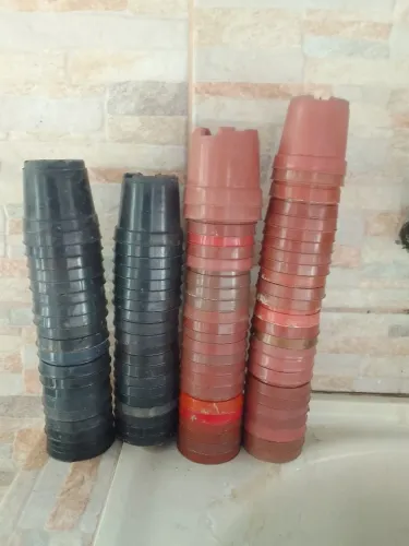 Lote de Vasinhos de Plantas.