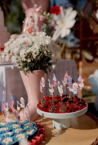 Fotógrafa para aniversário infantil (Goiânia | Aparecida de Goiânia | trindade)