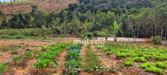 Sítio à venda, 22900 m² por R$ 1.100.000,00 - Lagoa Nova - Guararema/SP
