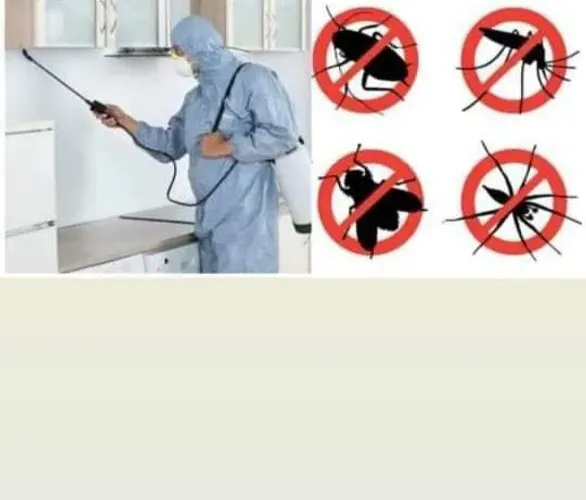 Detetizaçao 