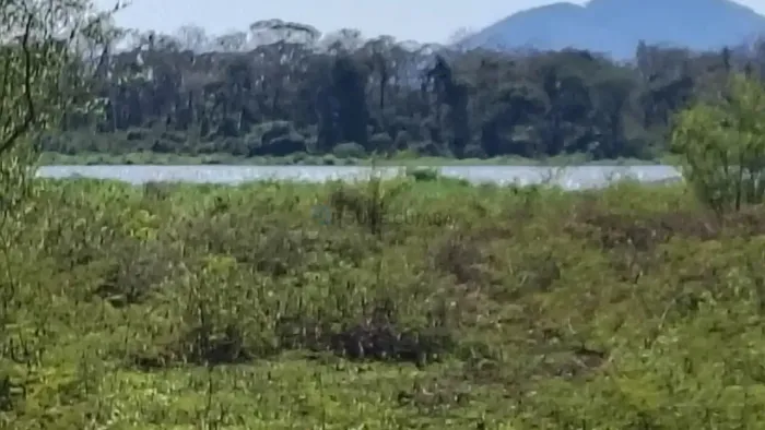 VENDO!!! Um sitio de 4.2 hectares na região da canoa quebrada no município da ci