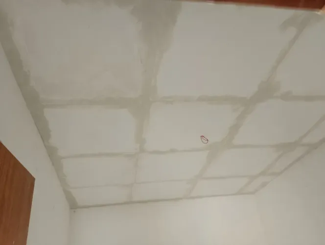 Gesso em Geral
