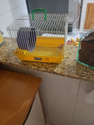 Gaiola para hamster venda ou troco