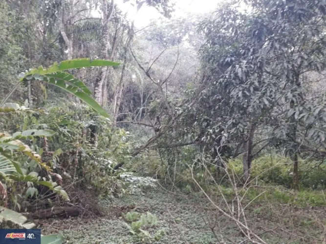 Chácara com 1 dormitório à venda, 23 m² por R$ 600.000,00 - Água Azul - Guarulhos/SP