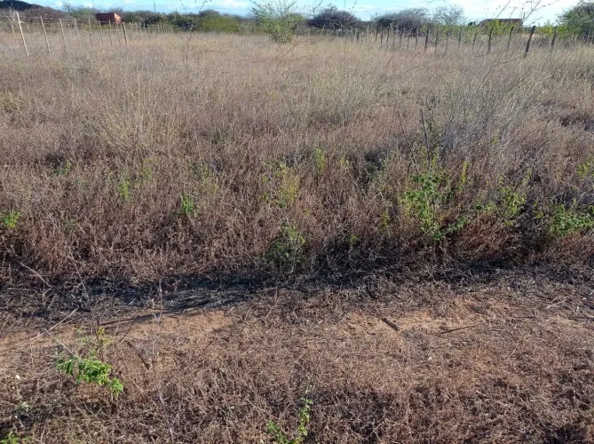 Terreno a venda