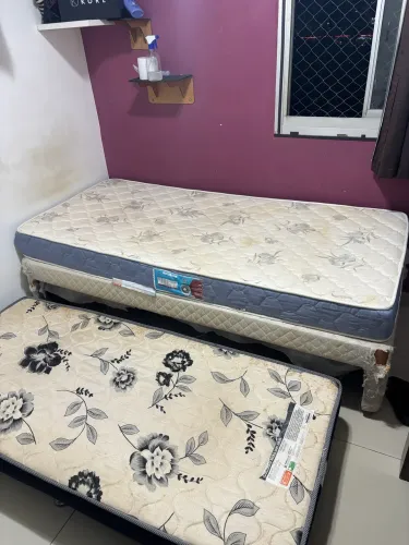 Bicama de solteiro com colchão