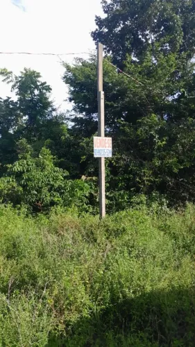 2 Terrenos (lotes contíguos) 600 m2