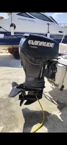 Vendo peças do motor de popa evinrude etec 50hp