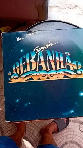 Disco vinil Rebanhão