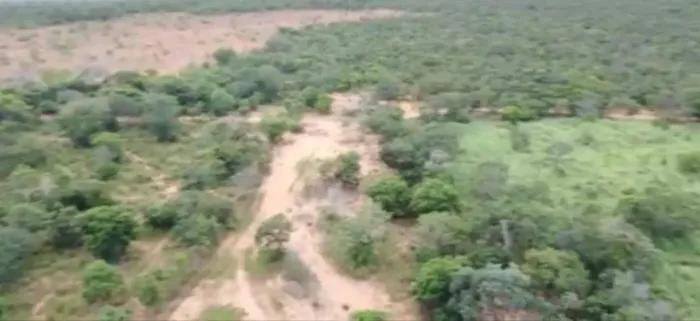 Fazenda para Venda em Arinos