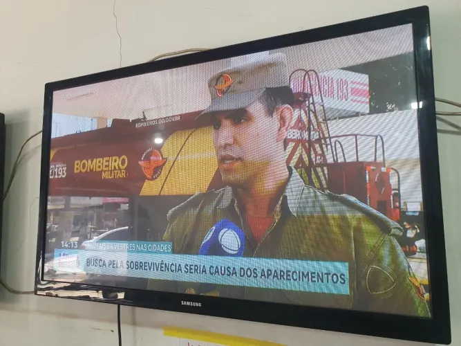 TELEVISÃO 43 POLEGADAS SAMSUNG DIGITAL ENTRADAS HDMI E USB FUNCIONANDO PERFEITAMENTE R$550