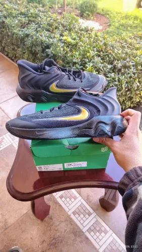 Tênis de basquete Nike Giannis immortality 4 novo 46BR