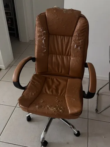 Cadeira Doação