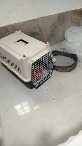 Casinha/ caixa de transporte de cachorro