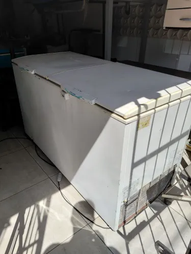 Freezer Electrolux