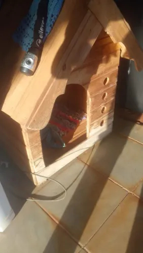 Casinha de cachorro