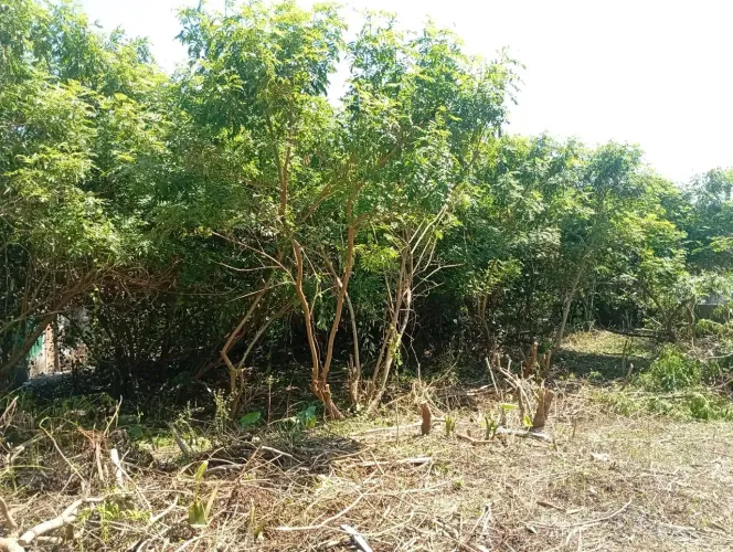 ALUGO TERRENO 500 M² - VILA FAZZEONI - SP-SP (LR2800)