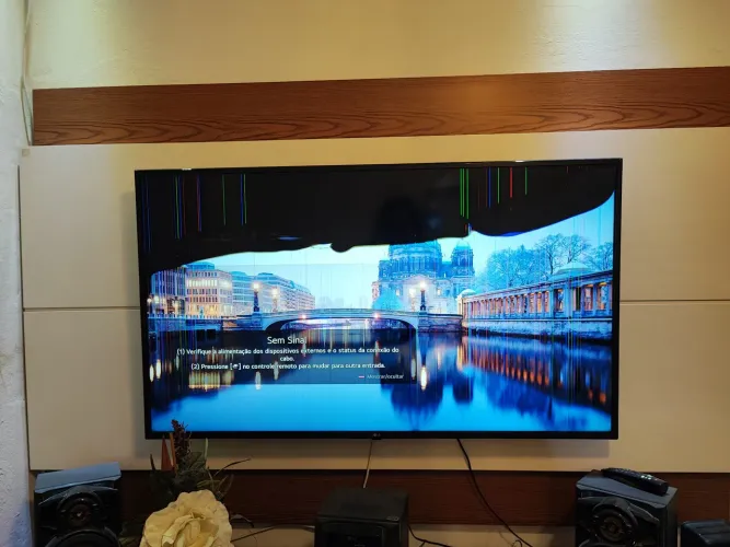 TV LG 60 POLEGADAS COM DEFEITO
