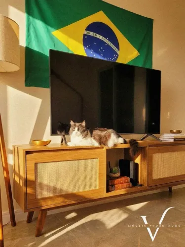 Hack/Homer para TV