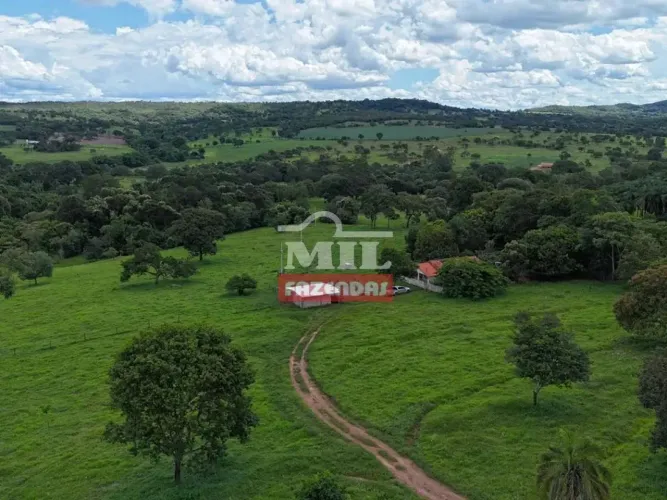 Chácara 4 alqueires(19,36 hectares) Cromínia - Go