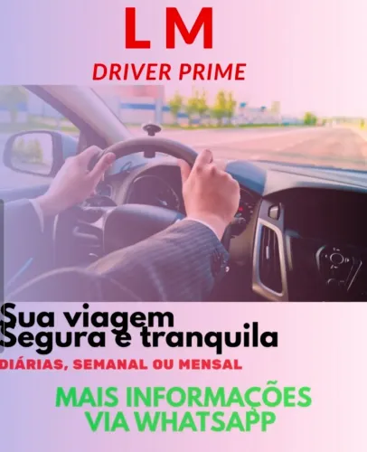 Motorista particular