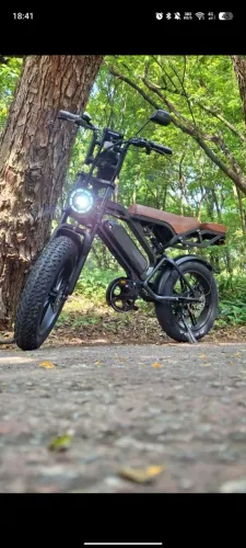 Bicicleta Elétrica V20 Freio Hidráulico 32km/h Garupa 750w