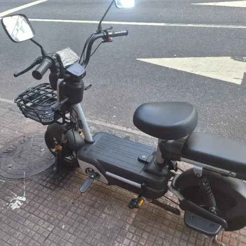 Bicicleta elétrica