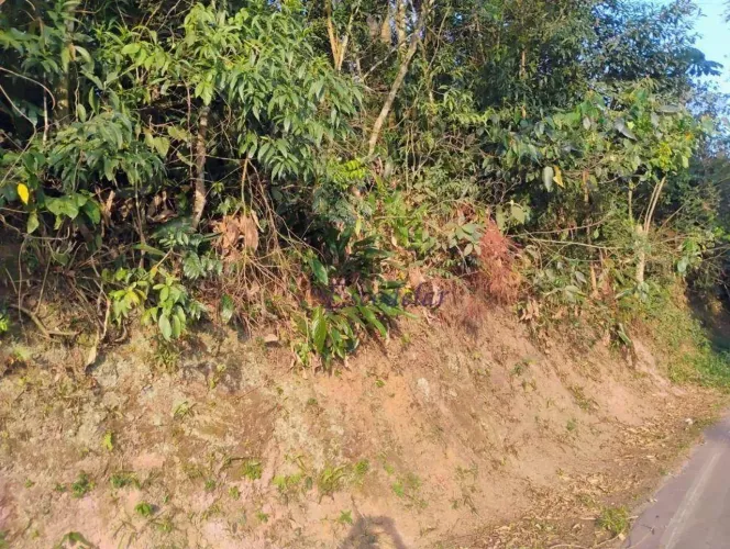 Terreno à venda, 894 m² por R$ 280.000,00 - Roseira - Mairiporã/SP