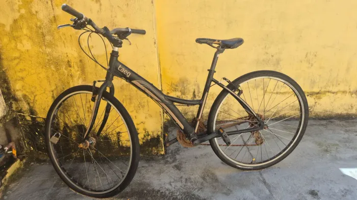 Bicicleta Taeq