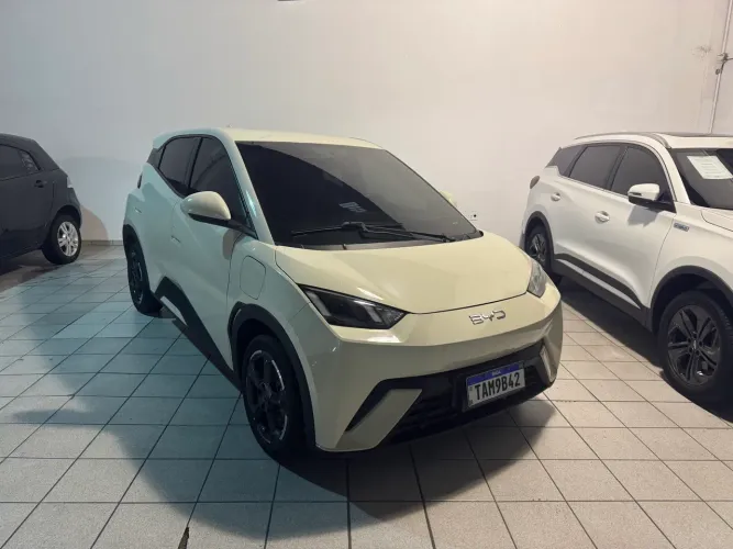 BYD Dolphin Mini (Elétrico) 2025