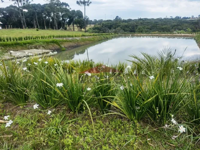 Sítio / Chácara à venda com 41912.4m² por R$ 1.350.000,00 - LAPA / PR